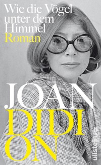 Wie die Vögel unter dem Himmel - Joan Didion - E-Book
