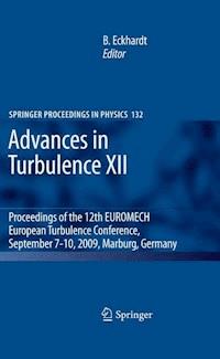 Advances in Turbulence XII -  - E-Book
