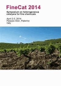 FineCat 2014 - Mario Pagliaro - E-Book