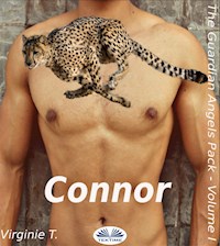 Connor - Virginie T. - E-Book
