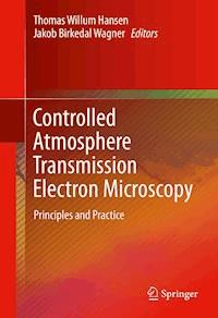 Controlled Atmosphere Transmission Electron Microscopy - - E-Book