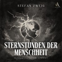 Sternstunden der Menshheit - Hörbuch Klassiker - Zweig Stefan - Hörbuch