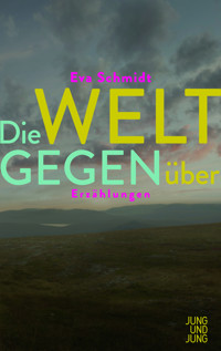 Die Welt gegenüber - Eva Schmidt - E-Book