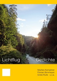 Lichtflug - Marlies Kemptner - E-Book
