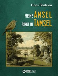 Meine Amsel singt in Tamsel - Hans Bentzien - E-Book