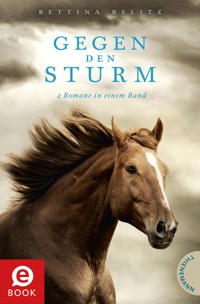 Gegen den Sturm - Bettina Belitz - E-Book