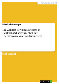 Die Zukunft der Biogasanlagen in Deutschland. Wichtiger Teil der Energiewende oder Auslaufmodell? - Friedrich Strampe - E-Book