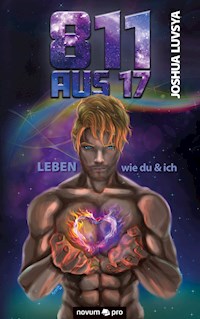 811 aus 17 - Joshua Luvsya - E-Book
