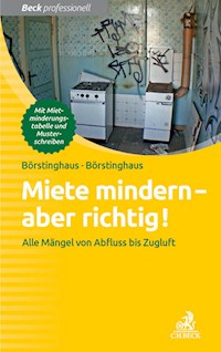 Miete mindern - aber richtig! - Ulf P. Börstinghaus - E-Book