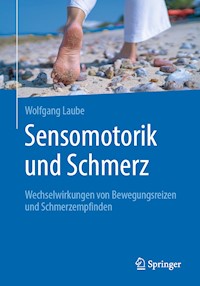 Sensomotorik und Schmerz - Wolfgang Laube - E-Book