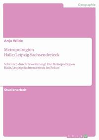 Metropolregion Halle/Leipzig-Sachsendreieck - Anja Wilde - E-Book
