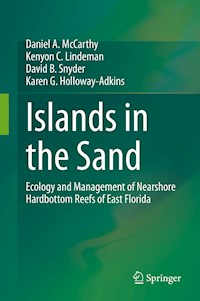 Islands in the Sand - Daniel A. McCarthy - E-Book
