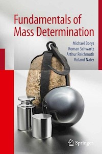 Fundamentals of Mass Determination - Michael Borys - E-Book