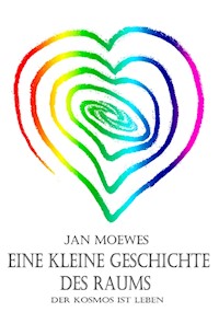 Eine kleine Geschichte des Raums - Jan Moewes - E-Book