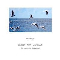 Wasser - Watt - und Hallig - Erich Meyer - E-Book