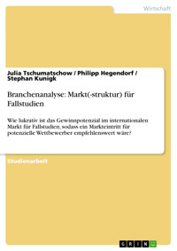 Branchenanalyse: Markt(-struktur) für Fallstudien - Julia Tschumatschow - E-Book