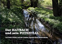 Der HAYBACH und sein POTENTIAL - Witzke Bodo - E-Book