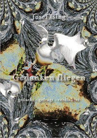Gedanken fliegen - Josef Ising - E-Book