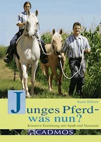 Junges Pferd - was nun? - Karin Tillisch - E-Book