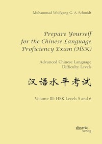 Prepare Yourself for the Chinese Language Proficiency Exam (HSK). Advanced Chinese Language Difficulty Levels - Muhammad Wolfgang G. A. Schmidt - E-Book