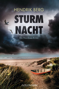 Sturmnacht - Hendrik Berg - E-Book