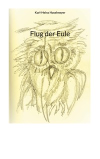 Flug der Eule - Karl-Heinz Haselmeyer - E-Book