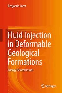 Fluid Injection in Deformable Geological Formations - Benjamin Loret - E-Book