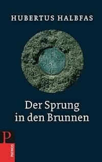 Der Sprung in den Brunnen - Hubertus Halbfas - E-Book