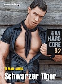 Gay Hardcore Quickie 02: Schwarzer Tiger - Tilman Janus - E-Book