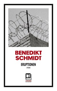 Eruptionen - Benedikt Schmidt - E-Book