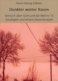 Dunkler weiter Raum - Hans-Georg Fabian - E-Book