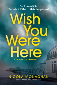 Wish You Were Here - Nicola Monaghan - E-Book