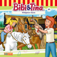 Bibi & Tina, Folge 89: Wildgänse-Alarm - Matthias von Bornstädt - Hörbuch