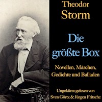 Theodor Storm: Die größte Box - Theodor Storm - Hörbuch