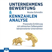 Unternehmensbewertung & Kennzahlenanalyse - Nicolas Schmidlin - Hörbuch