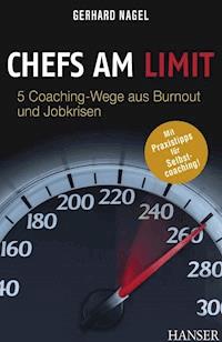 Chefs am Limit - Gerhard Nagel - E-Book