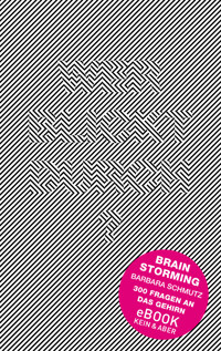 Brainstorming - Barbara Schmutz - E-Book