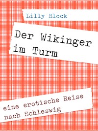 Der Wikinger im Turm - Lilly Block - E-Book