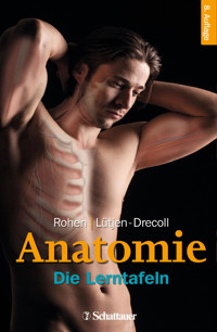 Anatomie - Johannes W. Rohen - E-Book