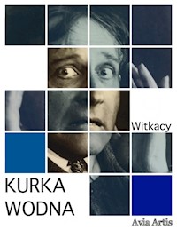 Kurka Wodna - Stanisław Ignacy Witkiewicz - E-Book