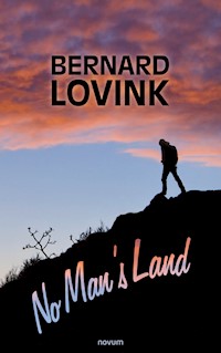 No Man's Land - Bernard Lovink - E-Book