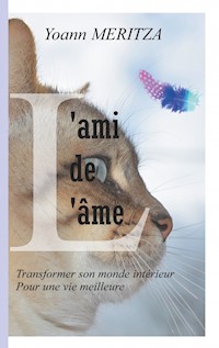 L'ami de l'âme - Yoann Meritza - E-Book