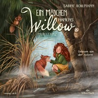 Ein Mädchen namens Willow 4: Nebeltanz - Sabine Bohlmann - Hörbuch