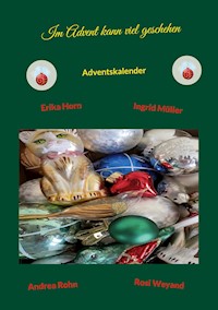 Im Advent kann viel geschehen - Andrea Rohn - E-Book