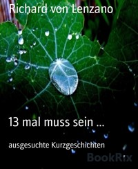 13 mal muss sein ... - RICHARD von LENZANO - E-Book