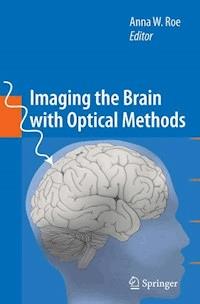 Imaging the Brain with Optical Methods -  - E-Book