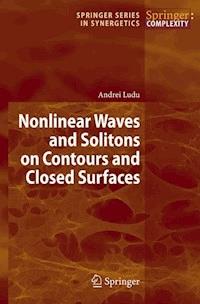 Nonlinear Waves and Solitons on Contours and Closed Surfaces - Andrei Ludu - E-Book