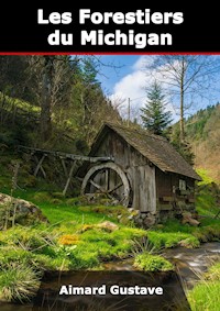 Les Forestiers du Michigan - Aimard Gustave - E-Book