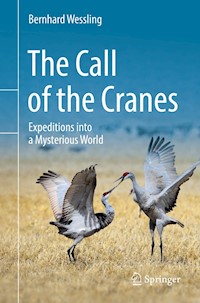 The Call of the Cranes - Bernhard Weßling - E-Book