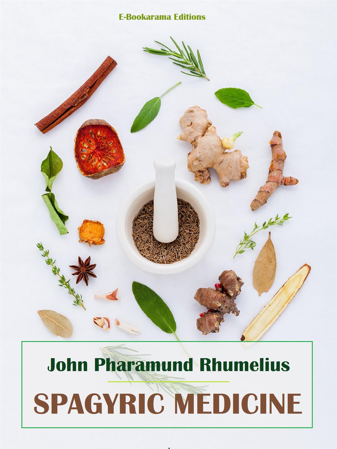 Spagyric Medicine - John Pharamund Rhumelius - E-Book